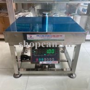 CÂN GHẾ NGỒI ĐIỆN TỬ 150KG DIGI DS166