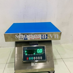 CÂN GHẾ NGỒI DẠNG HỘP 300KG INOX DIGI DS166