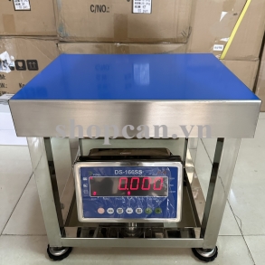 Cân Ghế Điện Tử 150KG DS166 