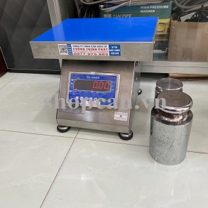 Cân ghế điện tử 30kg inox DIGI DS166
