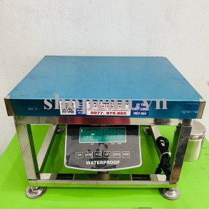 CÂN ĐIỆN TỬ GHẾ NGỒI INOX GIÁ RẺ SUPER 300KG