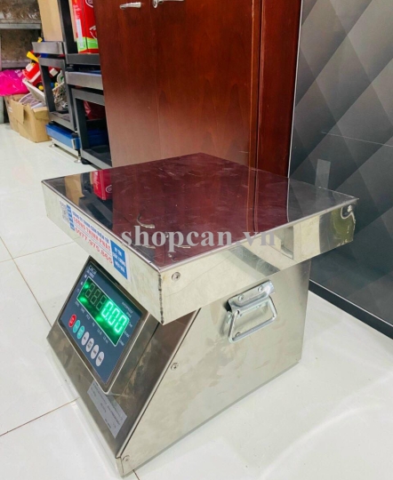 CÂN GHẾ  ĐIỆN TỬ 500KG INOX DIGI DS166